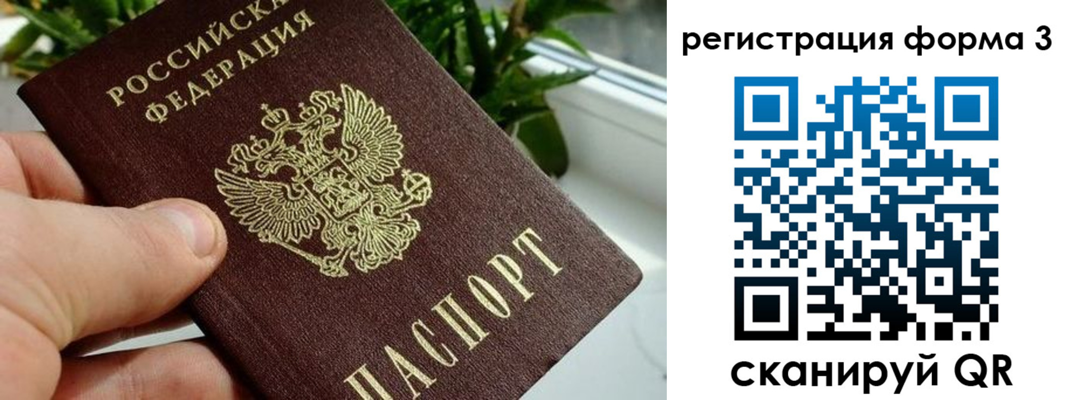 прописка штамп в Зарайске